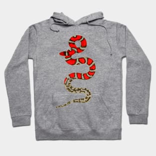 serpent,cobra,reptile,viper,venom,lizard,rattlesnake,king cobra,dragon,hydra,poison,venomous,plumber's snake,pythonidae,pythons,auger,python,squamata,serpentine,worm,big,ophidian,rattlesnakes,medusa,snakebite Hoodie